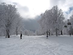Skiing Nozawa Onsen