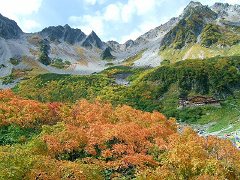 Autumn Colored Leaves