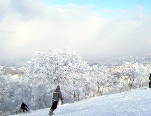 Skiing at Nozawa Onsen, Hakuba and Norikura