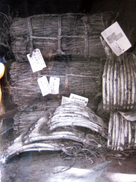 松本一本ねぎ手ぬぐい