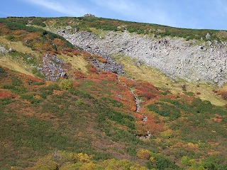 灰色の線が登山道