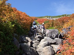 紅葉の道を抜ける