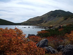白馬大池とナナカマド