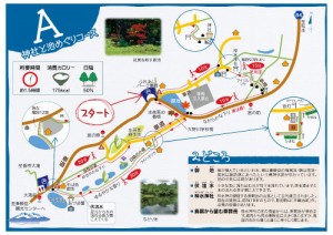 A 神社と池めぐりコース