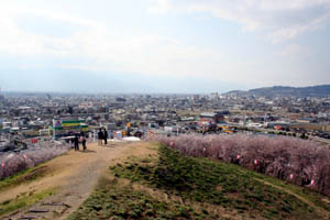 頂上からの眺め