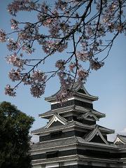 全景