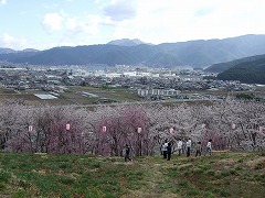 楽しんでいるグループ