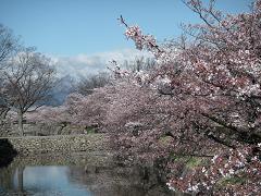 kitahori-21.JPG