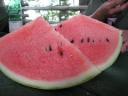 スイカ３
