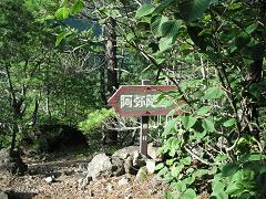 矢印
