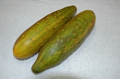 ばんどこうり１