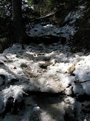 雪