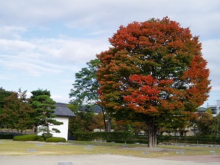 南側から見ると