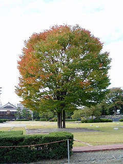 北側から見ると