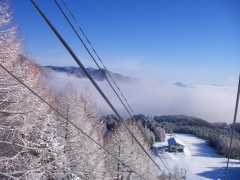 振り返ると・・・