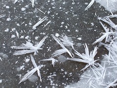 自然の成せる業