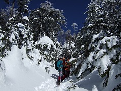 眺めにうっとり