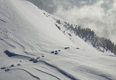 浮き出るウサギの足跡