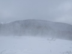地吹雪で見えない