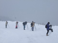 寒さに負けないカメラマン