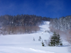 ツアーコース入口