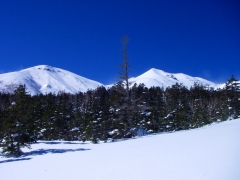 山頂が見えた！