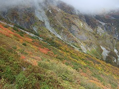 池から少し下ったところ