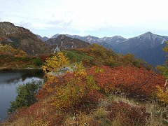 紅葉もきれいな奥又白池