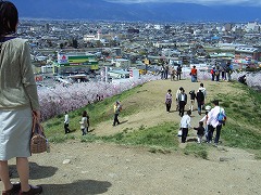 頂上からの眺め
