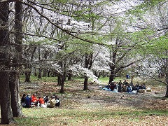 これは東側斜面