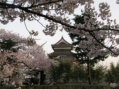 城中