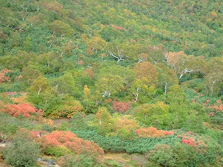 宝徳霊神から下の登山道からの眺め