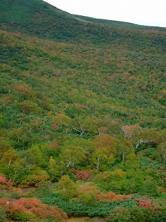まだまだ紅葉楽しめます
