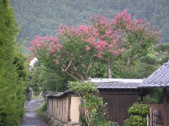 土塀と小路