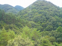 マウンテンビュー