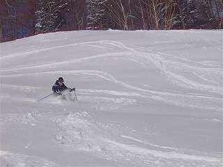 パウダースキー