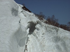 ロシアンルーレットの場所