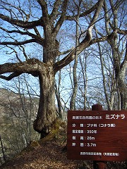 何とか帰れる目処がつく