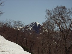 コルから堂津岳を望む