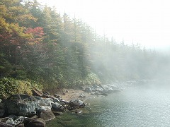 霧の中の雄池