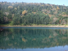 雌池東からの眺め