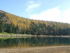 雌池西からの眺め