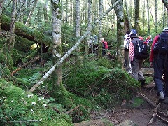 雌池から登ったところ