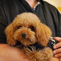 松本大好き！M100】#002…和来（紙舘 島勇）：伊藤慶さん