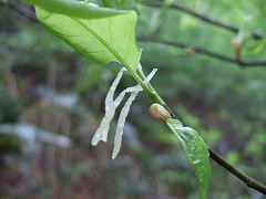 わかりません２