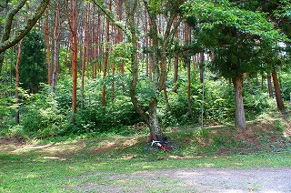 藤池百体観音大