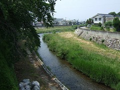 ここに船着場があったとは！