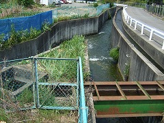 改めて見るといろいろなものに感謝しなくちゃいけませんね。この水路のおかげで田んぼが潤ってたりするのだから