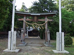 お昼寝するにはよさそうな場所