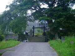 自転車１１６４